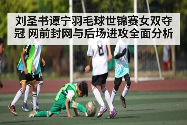 刘圣书谭宁羽毛球世锦赛女双夺冠 网前封网与后场进攻全面分析