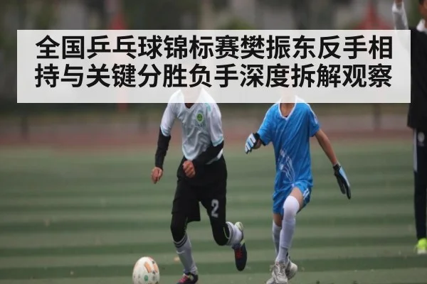 全国乒乓球锦标赛樊振东反手相持与关键分胜负手深度拆解观察
